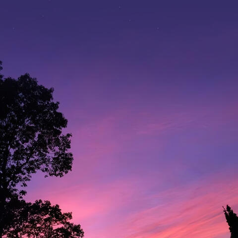 Todavía No album art