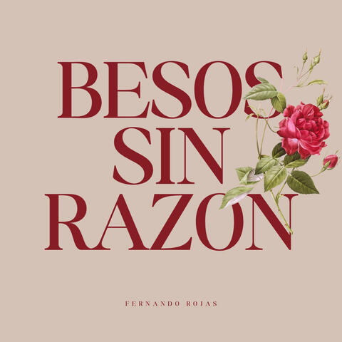Besos sin Razon album art
