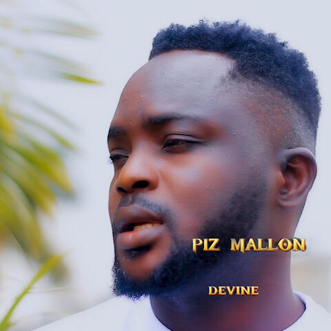 DEVINE album art
