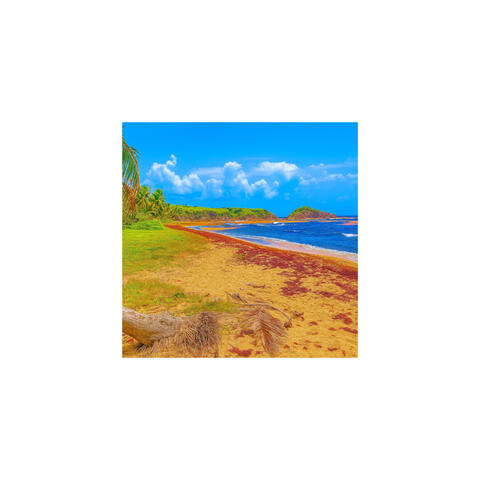 look alive album art