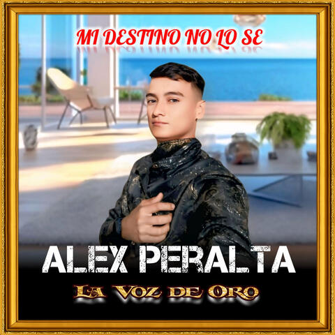 Mi Destino No Lo Se album art