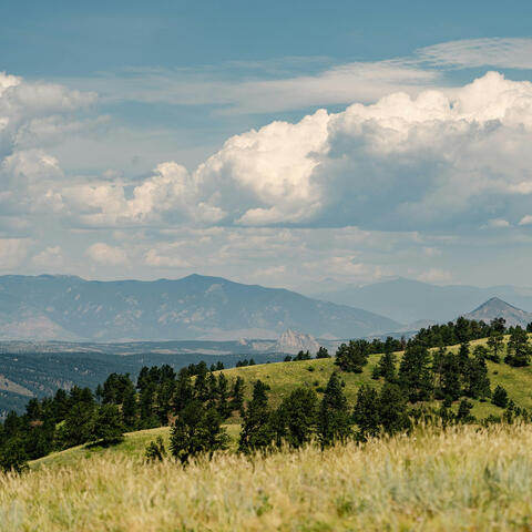 Wyoming album art