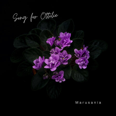 Song for Ottilie album art