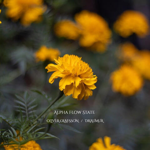 Alpha Flow State album art