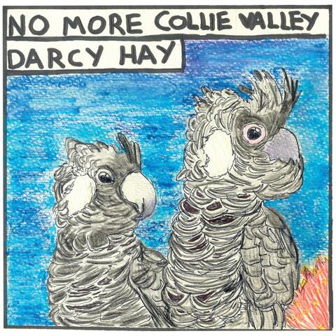 No More Collie Valley album art