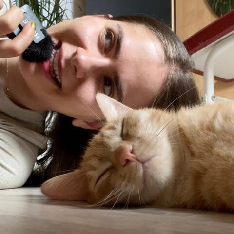 ASMR mit Bob aber er hat kein Bock album art