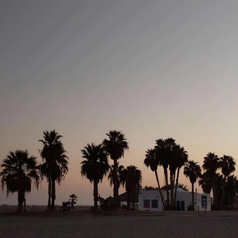 Bien Loco album art