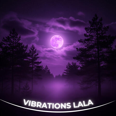 Healing Vibrations for the Spirit Within album art