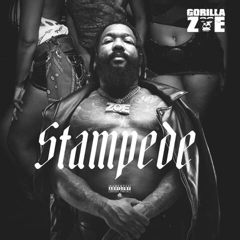 STAMPEDE album art