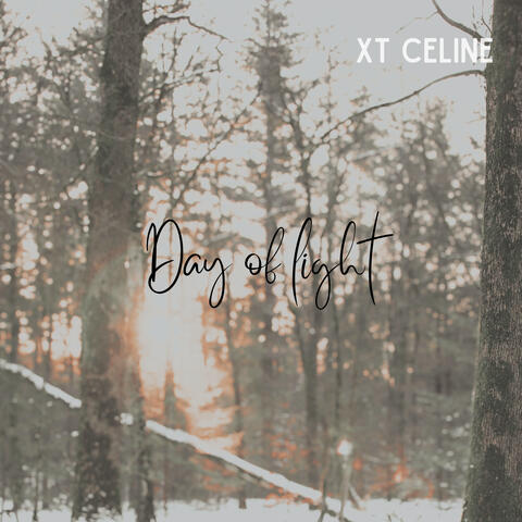 Day of Light album art