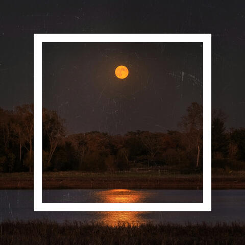 Forest Realm album art