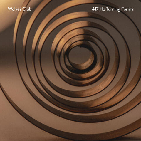 417 Hz Turning Forms album art