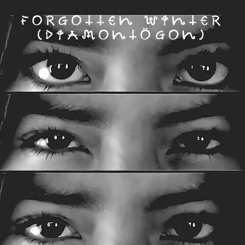 Forgotten Winter (Diamontögon) album art