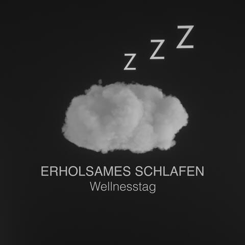 Wellnesstag album art