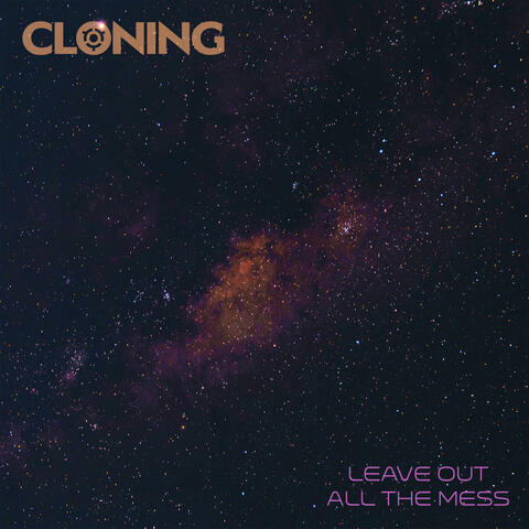 Leave Out All The Mess album art