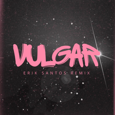 Vulgar album art