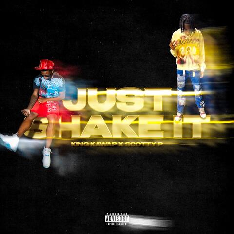 Just Shake It album art