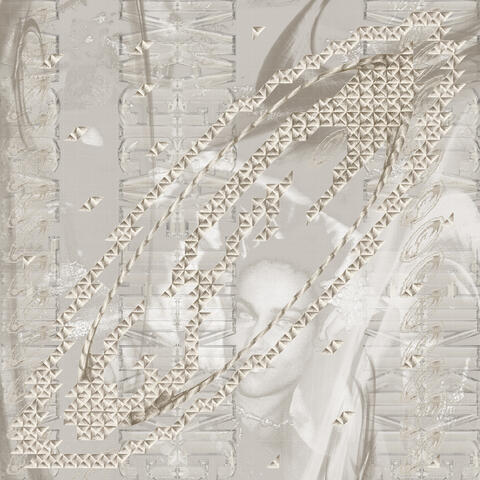 Voice Continues album art