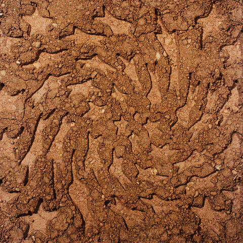 Unerthed: Hole Erth Unplugged album art