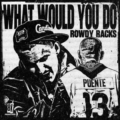 What Would You Do? album art