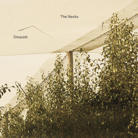 Causeway album art
