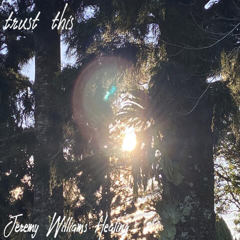 Trust this album art