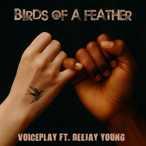 Birds of a Feather album art
