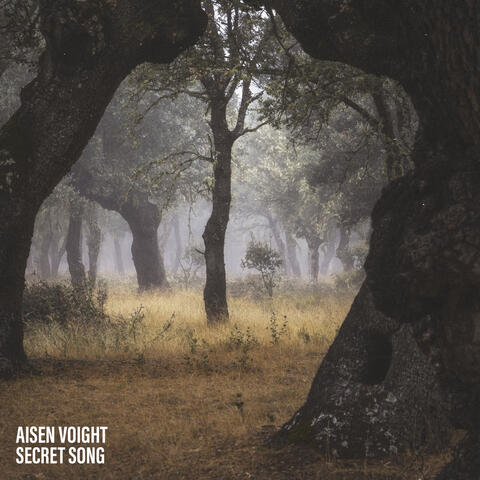 Secret Song album art