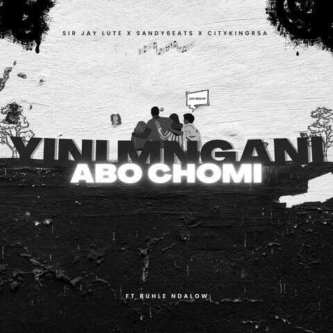 Yini Mngani (Abo Chomi) album art