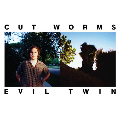 Evil Twin album art
