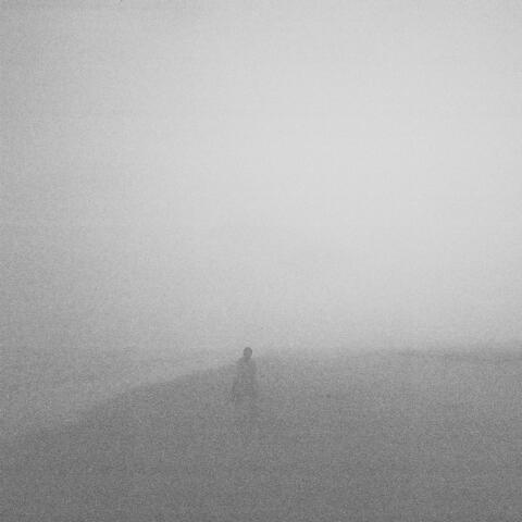 Fields album art