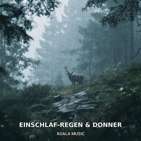 Einschlaf-Regen & Donner album art