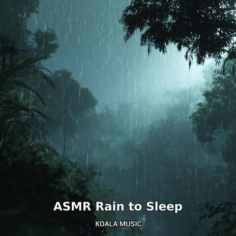 ASMR Rain to Sleep album art