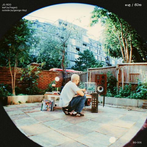 leaf / outside album art