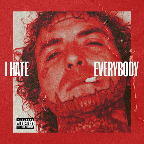 I HATE EVERYBODY album art