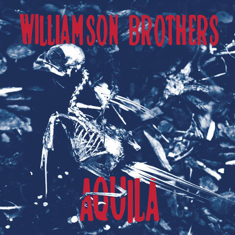 Aquila album art