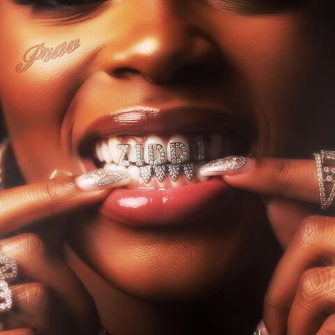 Ziddi album art