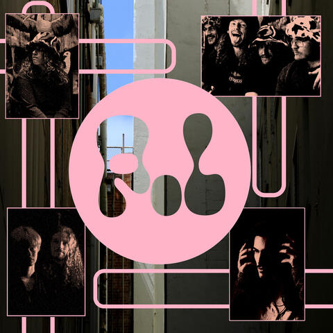 P.L album art