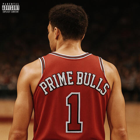 PRIME BULLS album art