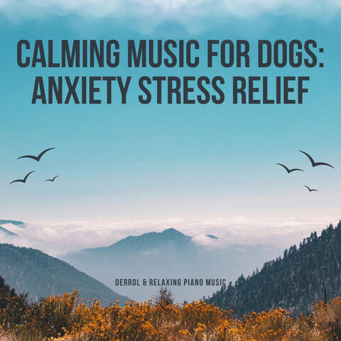 Calming Music For Dogs: Anxiety Stress Relief album art