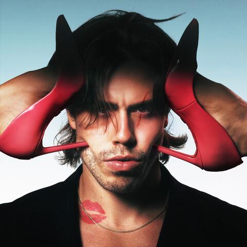 POUT FOR THE PICTURE album art