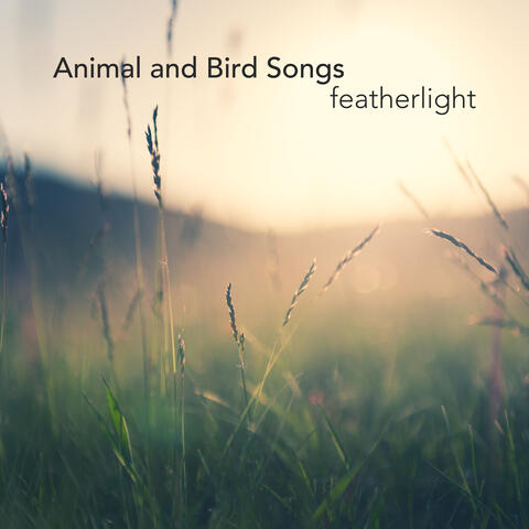 Featherlight album art