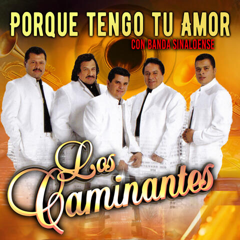Porque Tengo Tu Amor album art