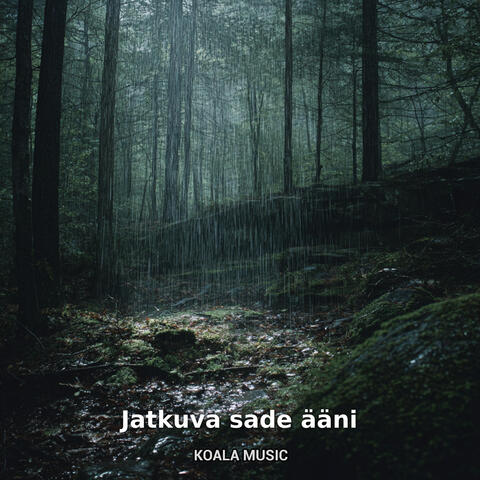 Jatkuva sade ääni album art