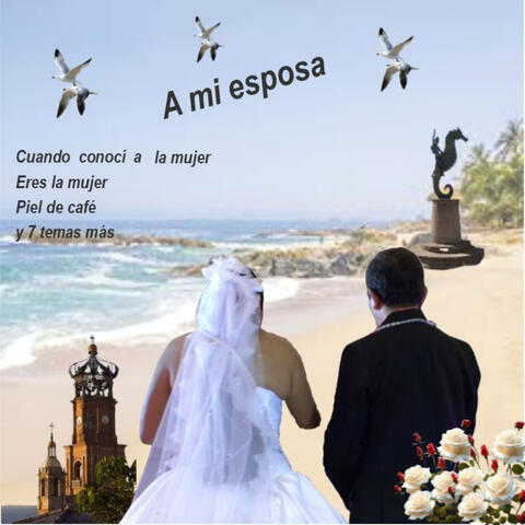 A mi esposa. album art
