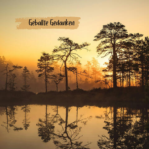 Geballte Gedanken album art