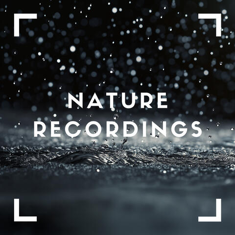 Thunder in The Canadian Rockies album art