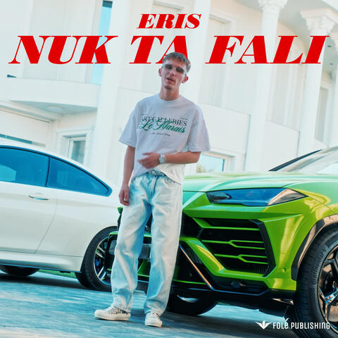 NUK TA FALI album art