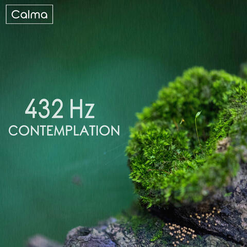 432 Hz Contemplation album art