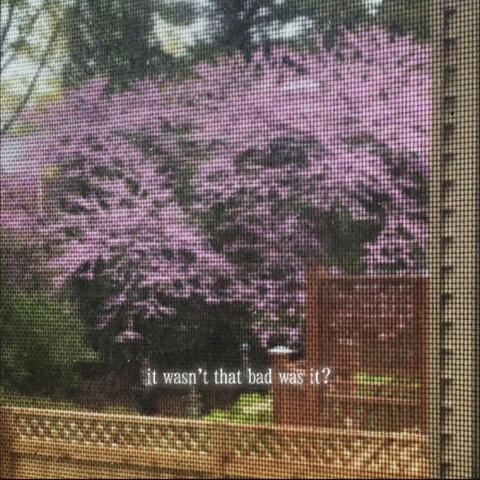 it wasn't that bad was it? album art